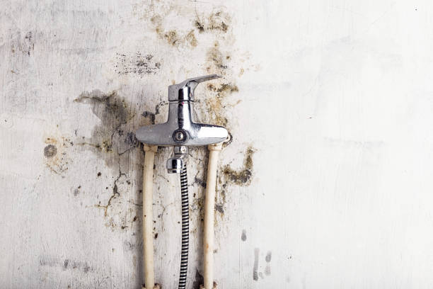 Best Emergency Mold Removal  in Keno, OR