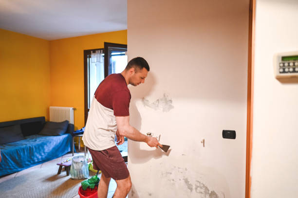 Attic Mold Removal in Keno, OR